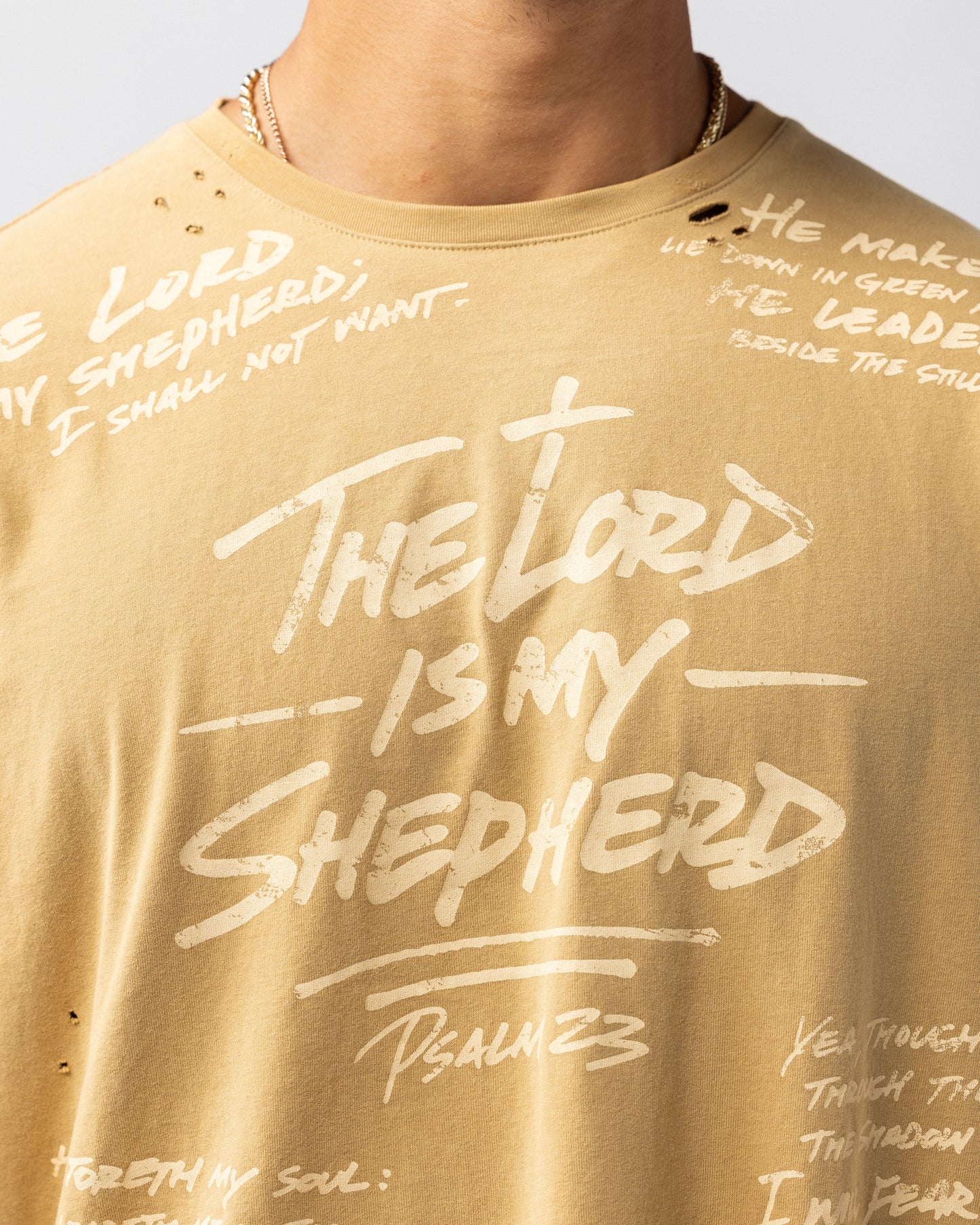 316collection Lux Psalm 23 Distressed Oversized Tee - Italian Clay