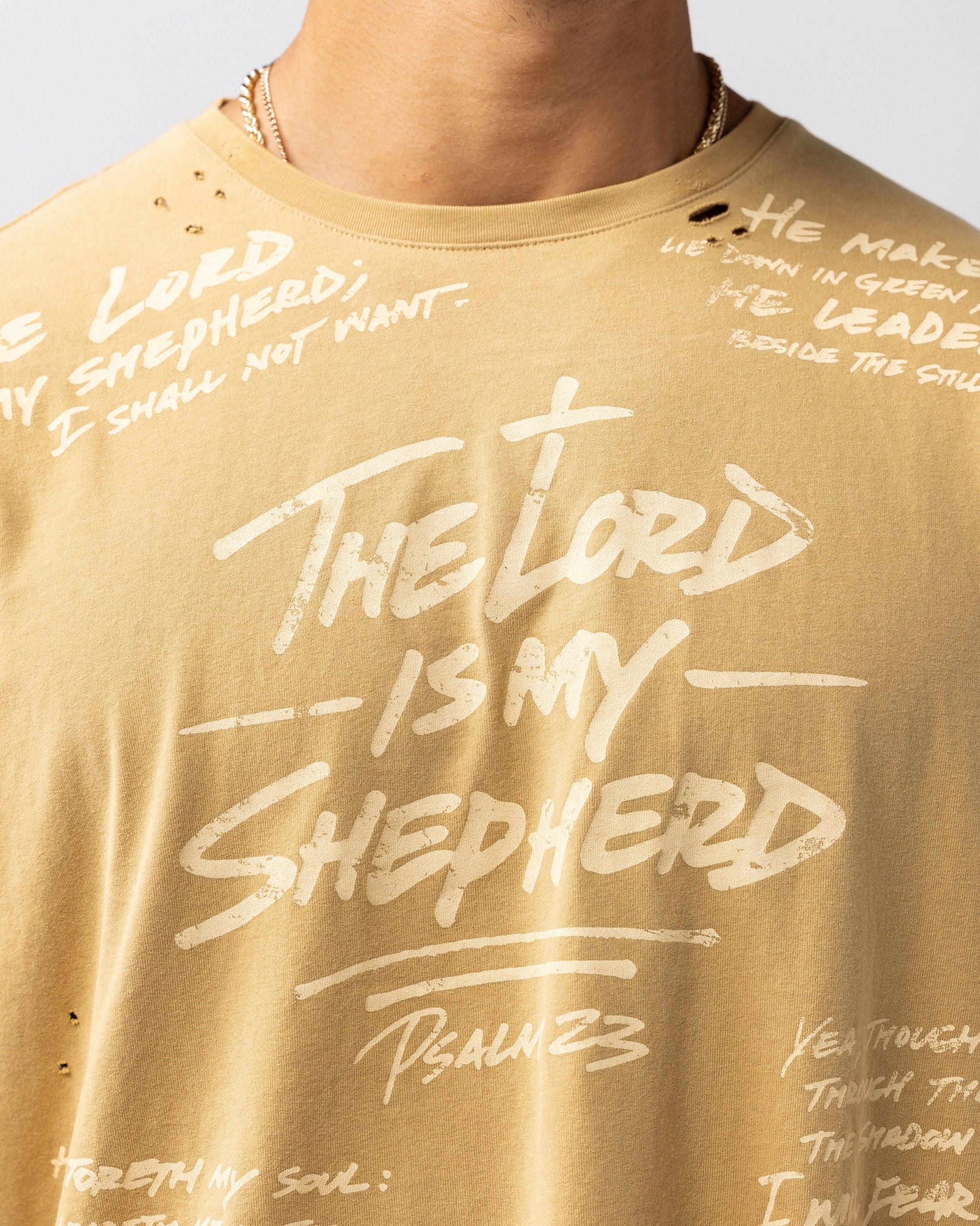 316collection Lux Psalm 23 Distressed Oversized Tee - Italian Clay