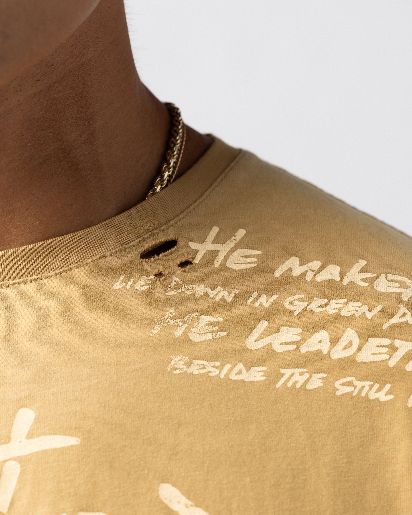 316collection Lux Psalm 23 Distressed Oversized Tee - Italian Clay